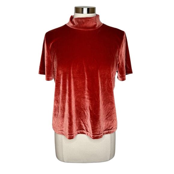 Madewell Velvet Mockneck Tee in Burnished Rust Women’s Size‎ Large - Picture 2 of 10